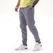 Мужские теплые штаны Teamv Simple Sport 3 Серый