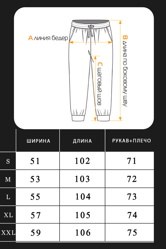 Спортивные штаны джоггеры мужские Jogger Petlia 23 Графит