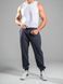 Спортивные штаны джоггеры мужские Jogger Petlia 23 Графит