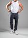 Спортивные штаны джоггеры мужские Jogger Petlia 23 Графит