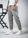 Чоловічі теплі спортивні штани Teamv OVERSIZE 3 Сірі