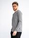 Чоловічі футболки з довгим рукавом Long sleeve Teamv Сірий