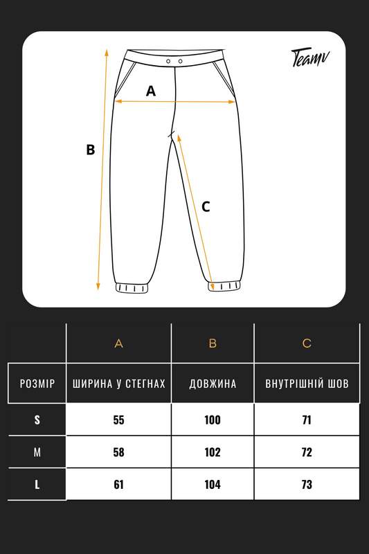 Чоловічі теплі спортивні штани Teamv OVERSIZE 3 Графіт