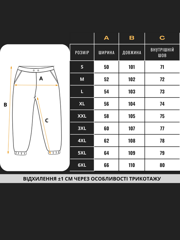 Спортивные штаны мужские теплые Teamv Jogger Черные