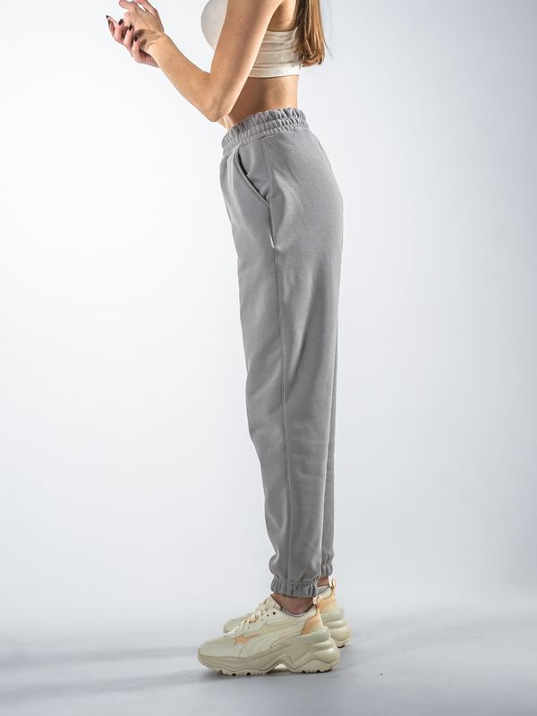 Cпортивные штаны на флисе женские Teamv Jogger Серые