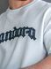 Футболка мужская оверсайз с принтом PANDORA Teamv Белая