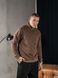 Чоловічий теплий світшот із коміром на блискавці Teamv Collar Zip Коричневий