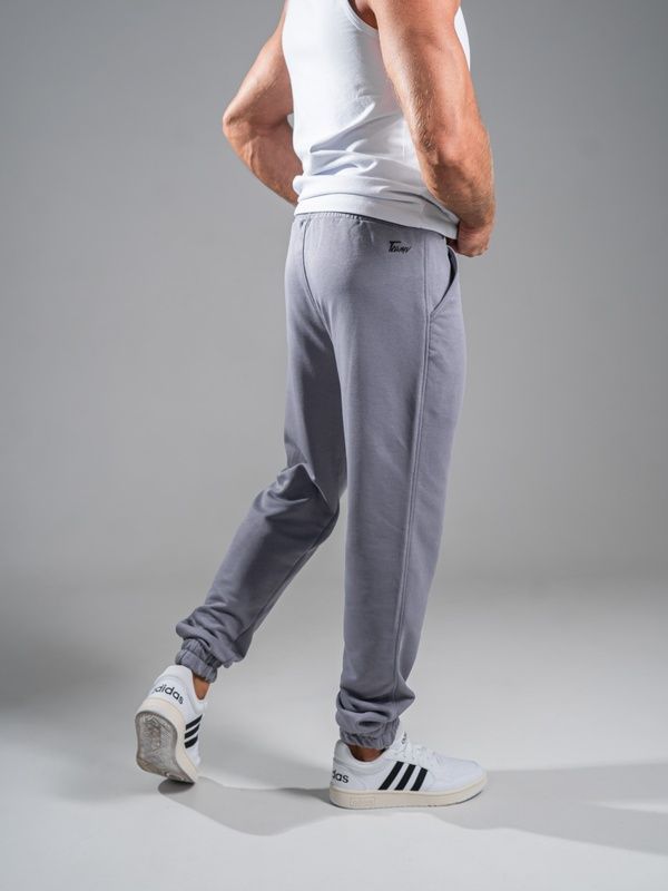 Спортивні штани джогери чоловічі Jogger Petlia 23 Сірі