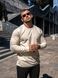 Чоловічі футболки з довгим рукавом Long sleeve Teamv Бежевий